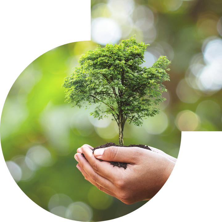 關懷人類、文化、環境與社會